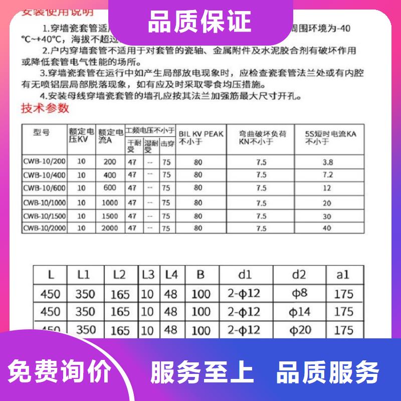 交流穿墙套管CWB-20KV/1600