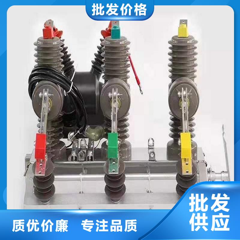 【羿振电气】高压断路器ZW32-12/630-20