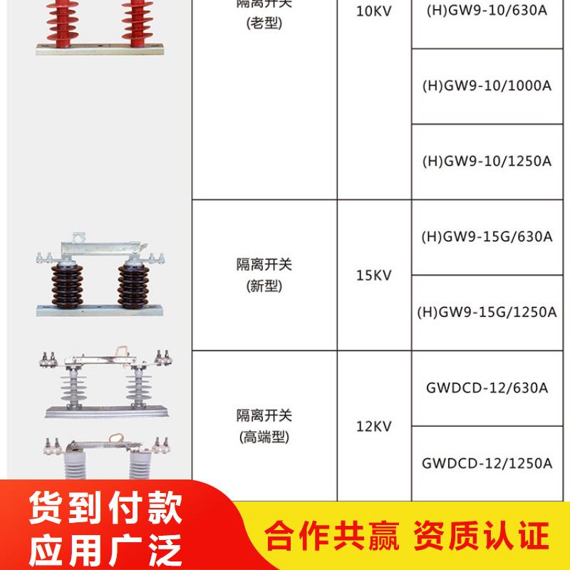 高压隔离开关：HGW9-12KV/200A质量可靠