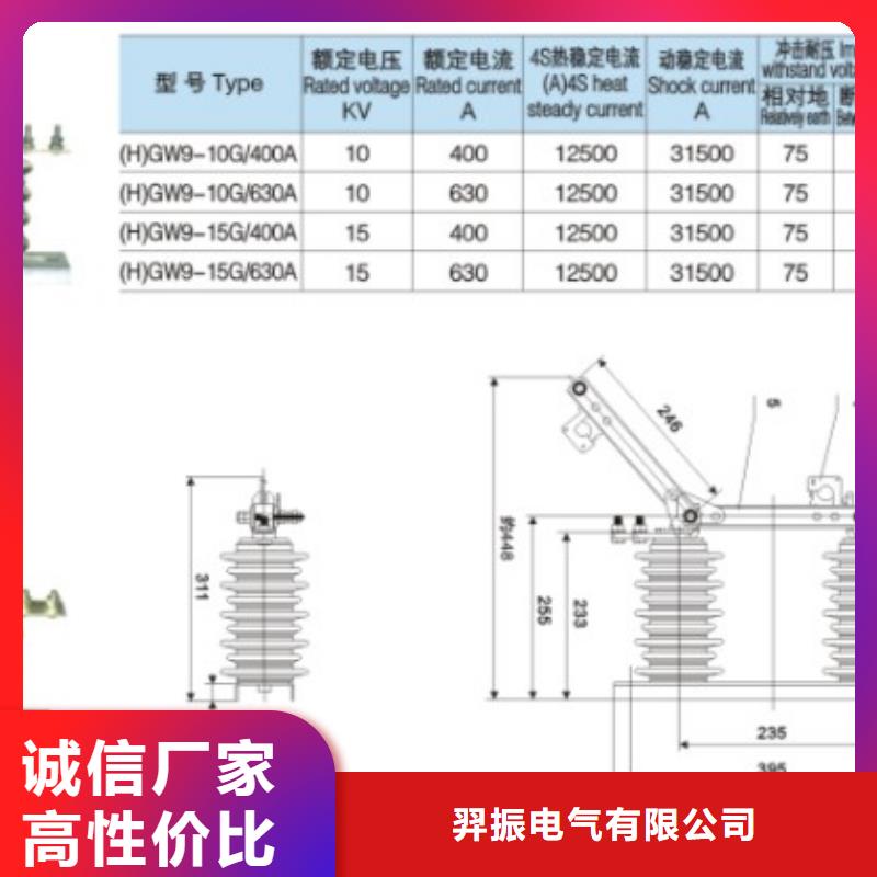 单极隔离开关HGW9-12W/1000A实体厂家