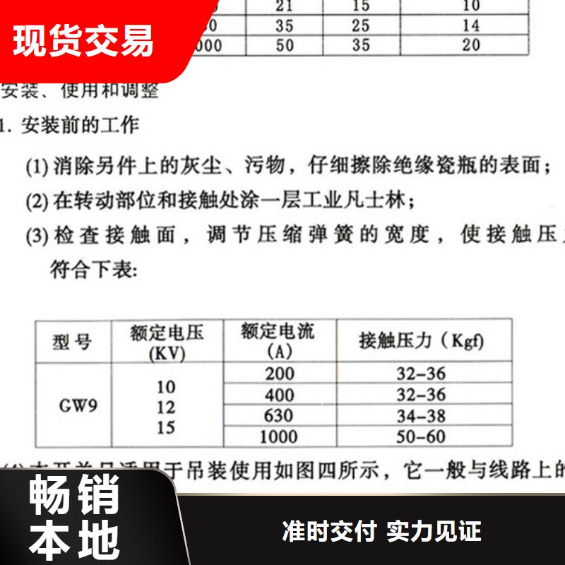 单极隔离开关GW9-10W/200A单柱立开,不接地,操作型式:手动