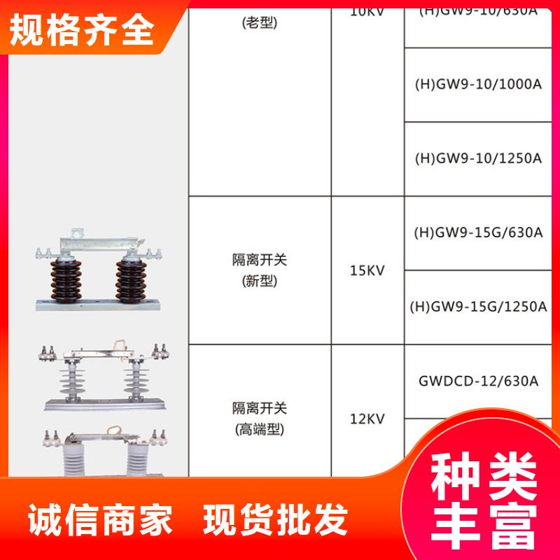 【羿振电气】高压隔离开关HGW9-35KV/630