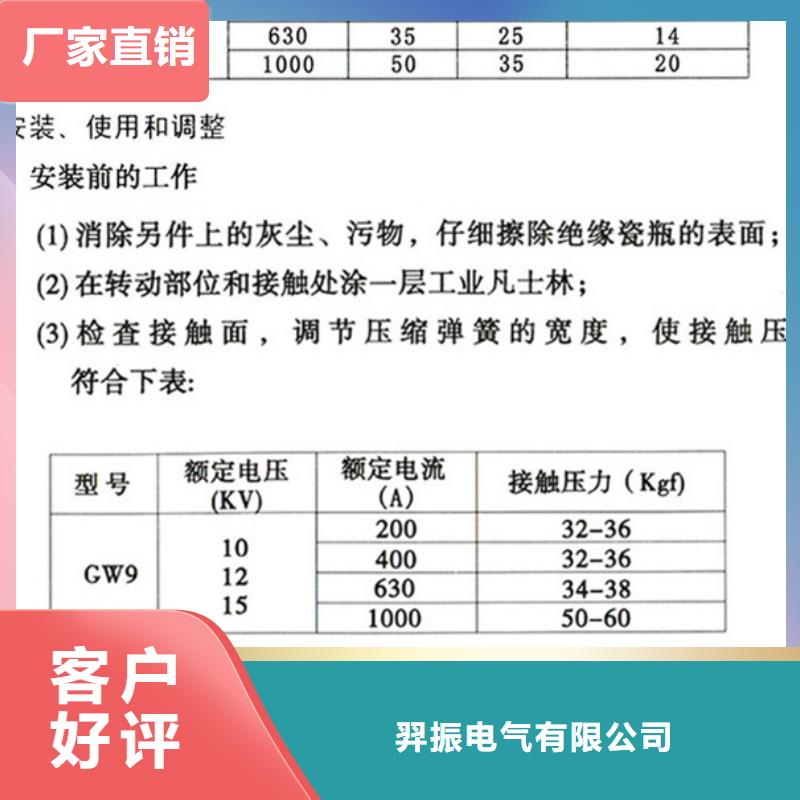 【隔离刀闸】GHW9-10/1000