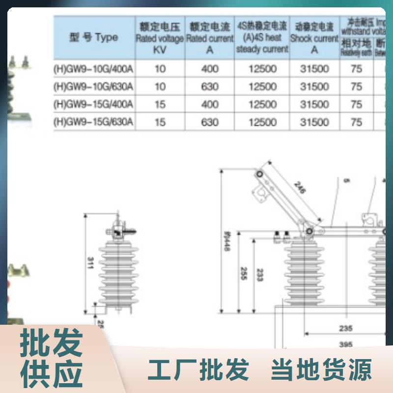 【羿振电气】高压隔离开关*HGW9-12G/400A畅销全国