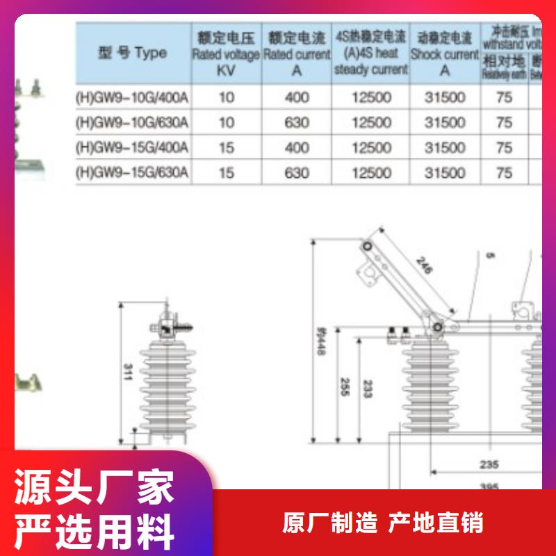 【GW9隔离开关】户外高压交流隔离开关：GW9-10-200A免费咨询