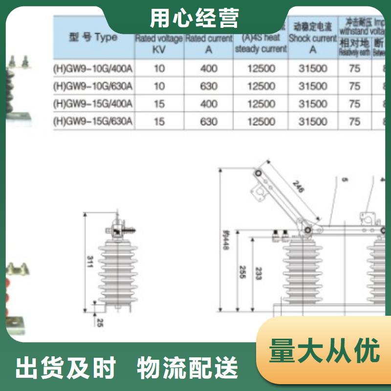 高压隔离开关：GW9-15/630A制造厂家