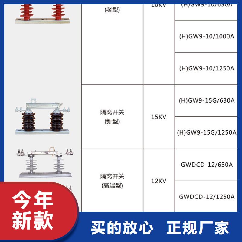 10KV单级隔离开关GW9-12G(W)/200A
