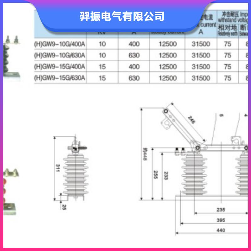 高压隔离开关：GW9-10W/1000  全国发货 _羿振电气有限公司