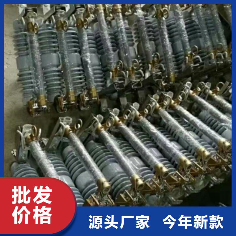 氧化锌避雷器YH5WZ1-15/40.5品质放心浙江羿振电气有限公司