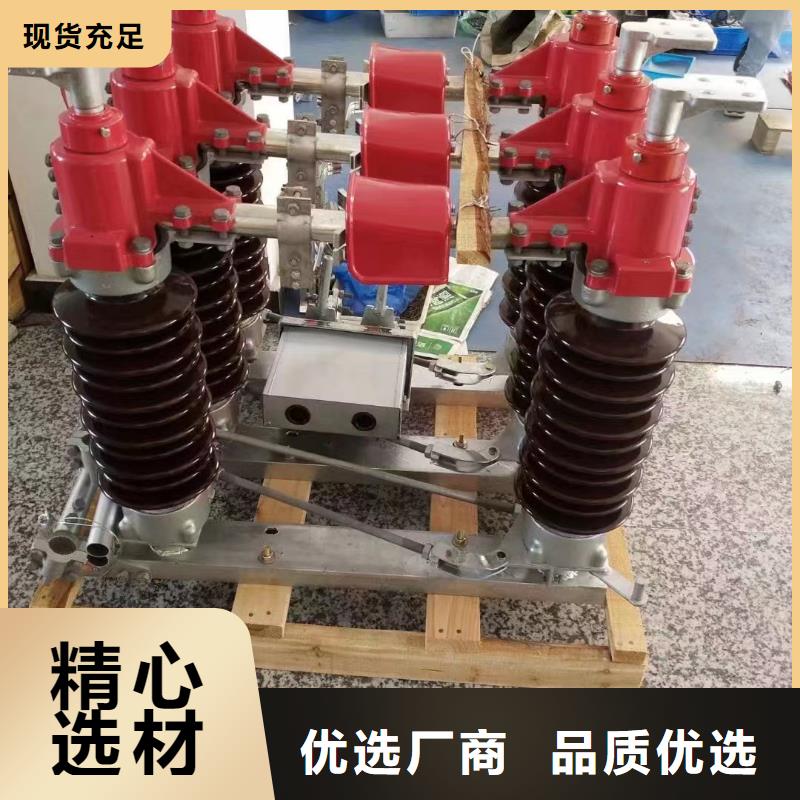 柱上断路器,AC20kV,630A,20kA,真空,无隔离闸刀,户外,电动