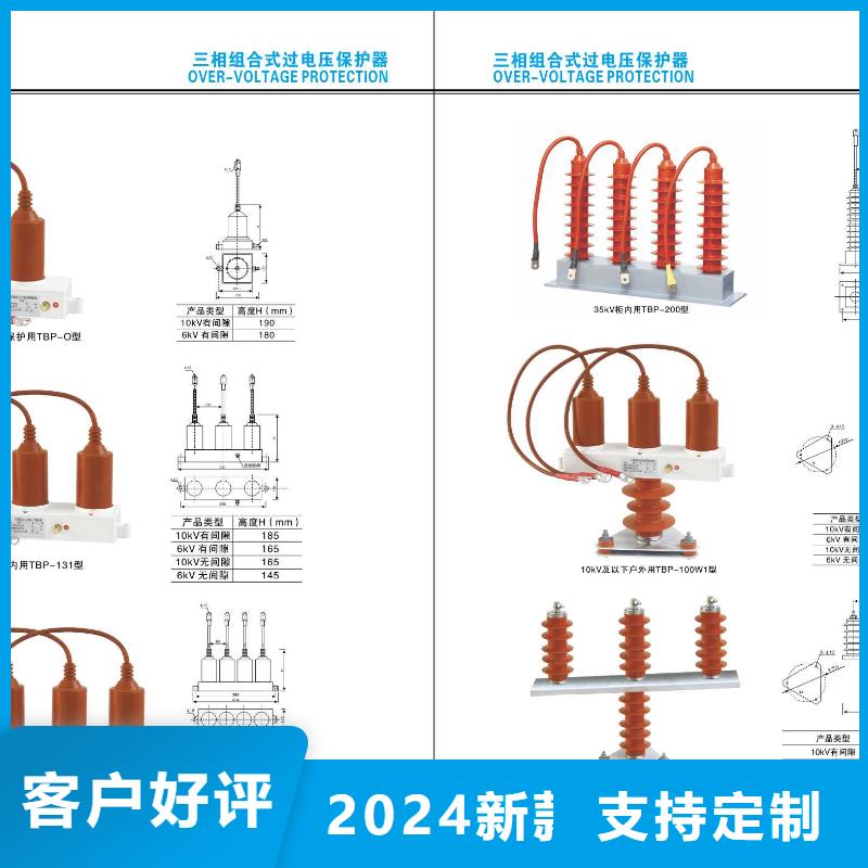 复合防雷支柱绝缘子FEG-12/5