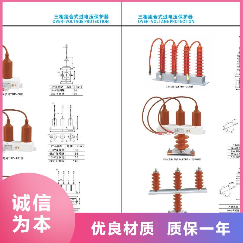 高压熔断器-PRW12-10KV/200A【浙江羿振电气有限公司】