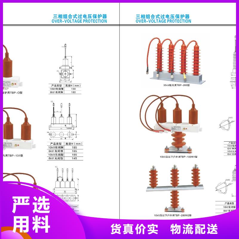 真空断路器/AC10kV＿630A＿25kA＿真空＿无隔离闸刀＿户外(电动＿弹簧)，共箱式