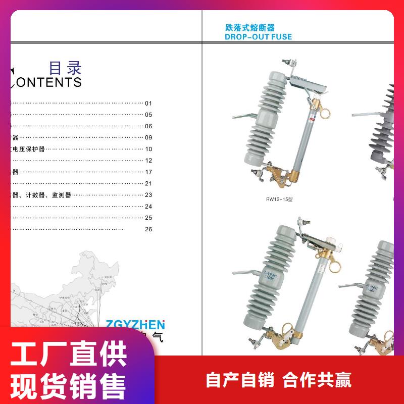 -柱上断路器ZW32-12/T630-20