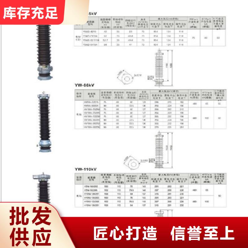 -支持绝缘子_ZSW-110/6-2