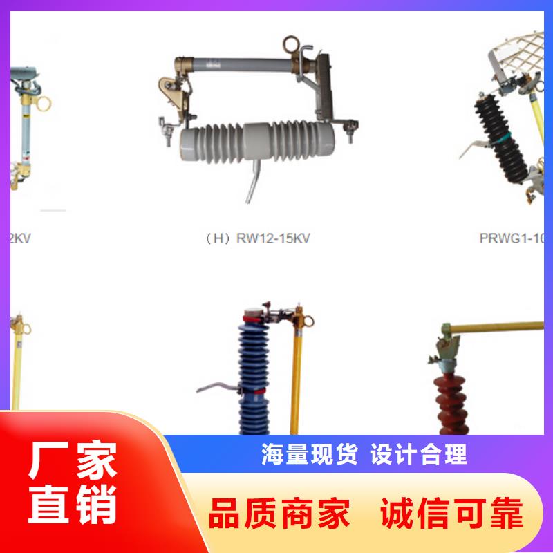 -跌落式熔断器RWCP12-100/12.5