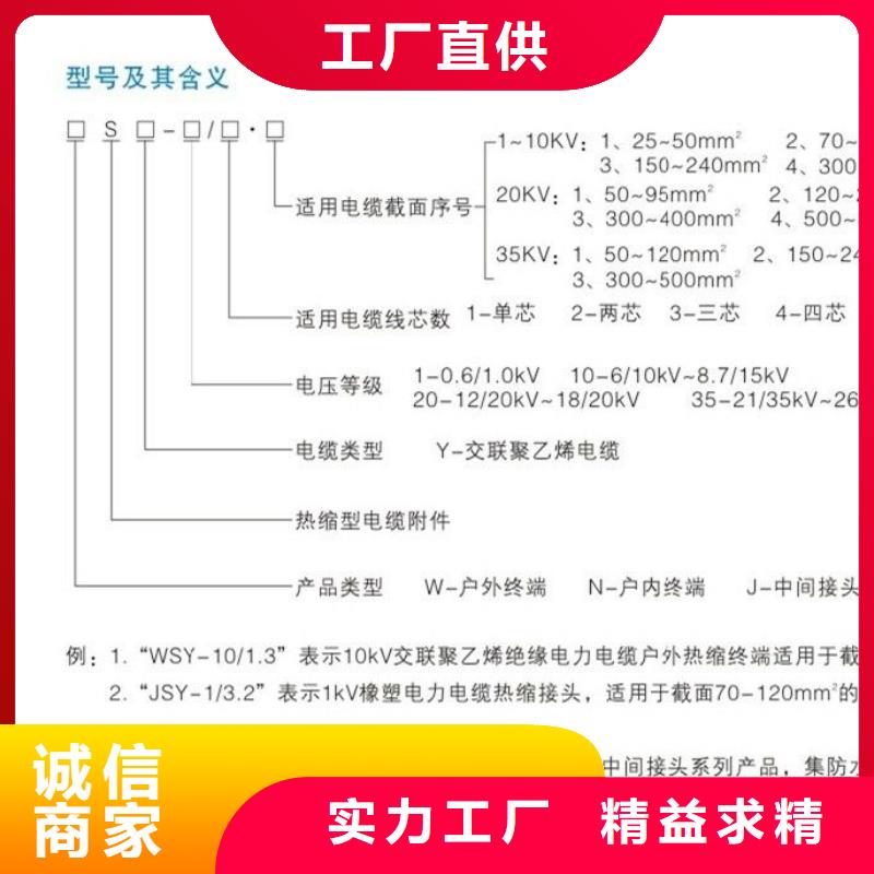 【NRSY-20/1.1户内热缩电缆终端头】