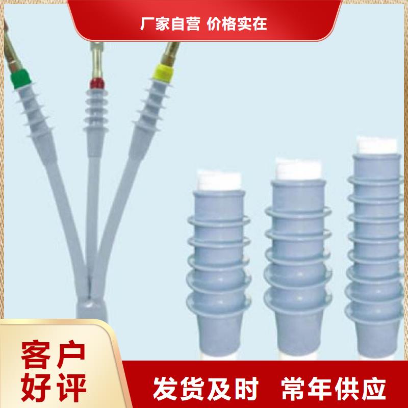 35KVLSN-1/2户内冷缩电缆终端头