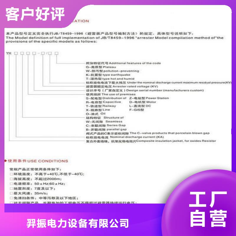 _避雷器YHSWZ-7.6/27【羿振电力设备】