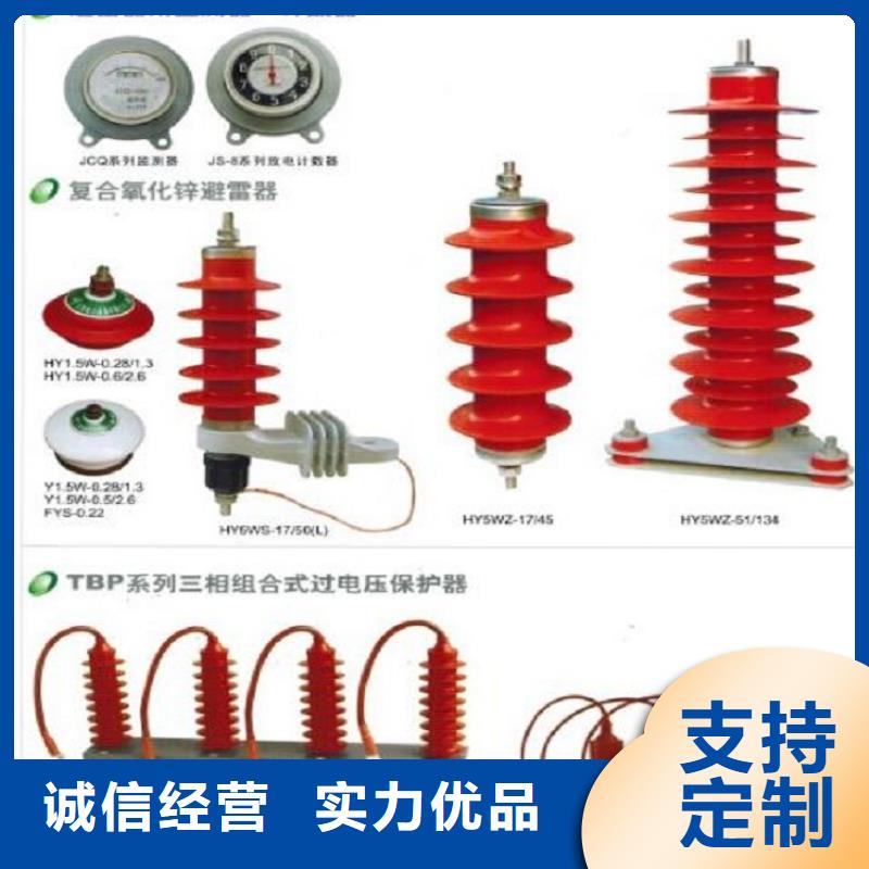 ＿10KV复合外套无间隙氧化锌避雷器3EK7170-4GD4