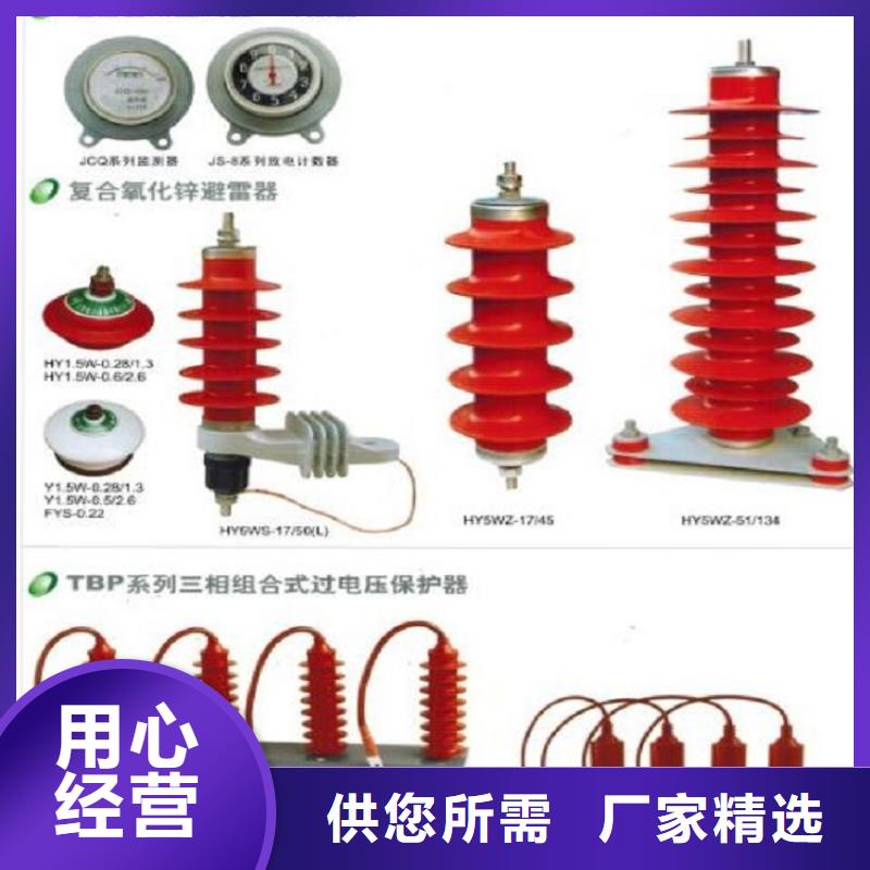 【羿振电气】YH10CX-108/281J-避雷器生产厂家