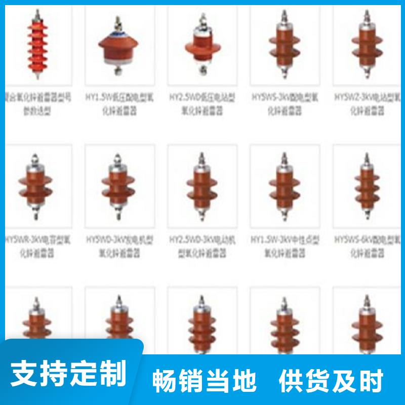 YH10CX5-216/562，放电计数器【避雷器生产厂家】