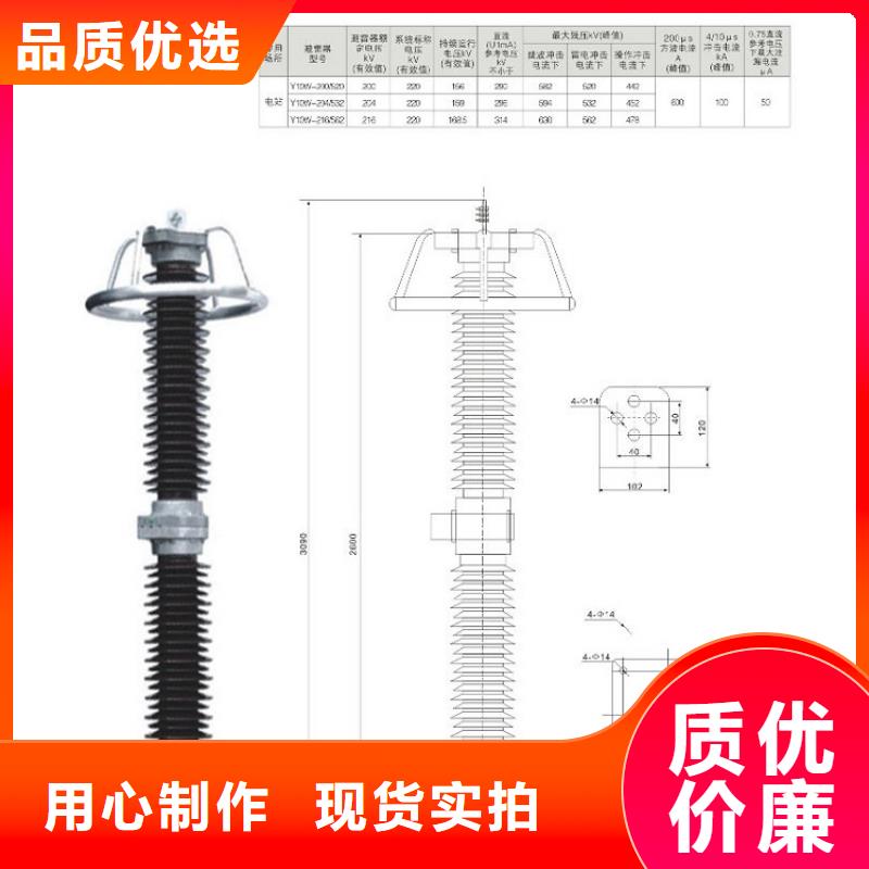 避雷器Y10W5-198/565W【上海羿振电力设备有限公司】