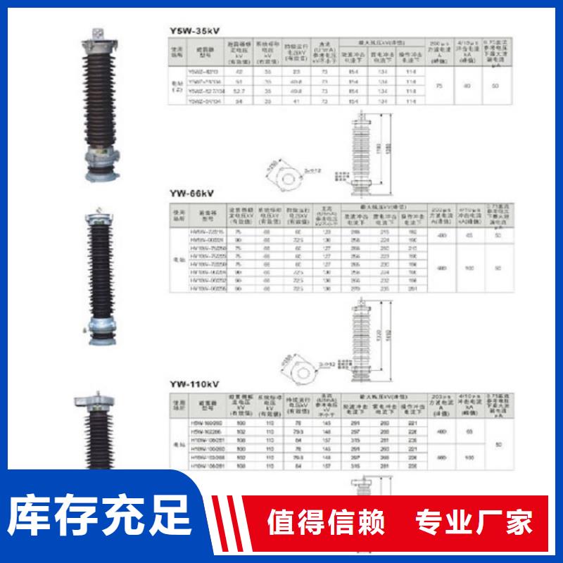 避雷器Y1.5W5-30/80W【浙江羿振电气有限公司】