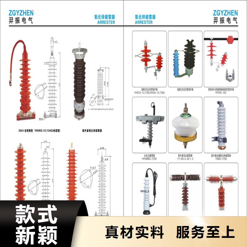 避雷器Y5W5-54/134【羿振电气】