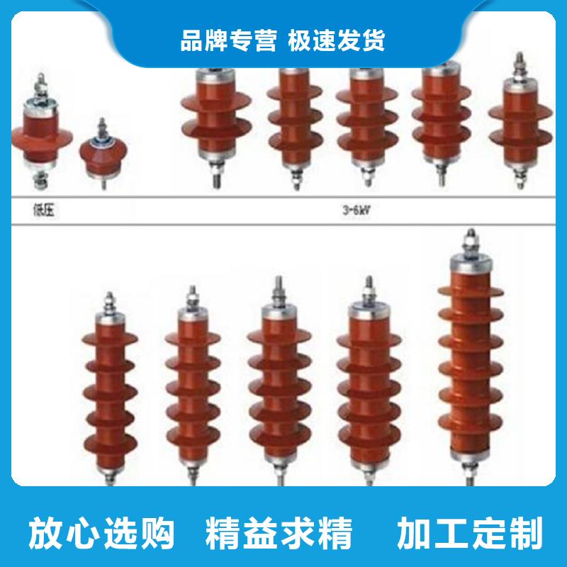 【羿振牌】【避雷器】YH10WZ2-200/520S