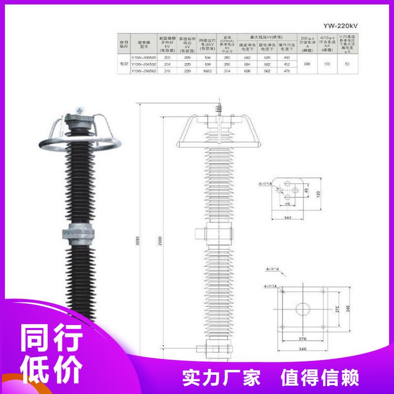 避雷器YH10WX-120/320TD浙江羿振电气有限公司