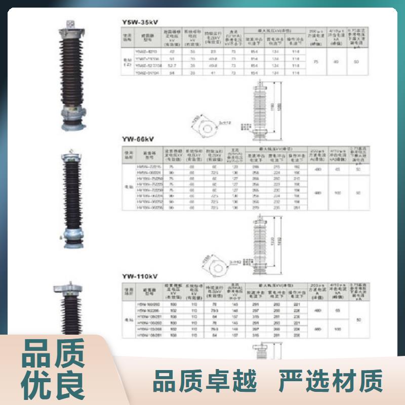 【避雷器】YH10WS-100/260-上海羿振电力设备有限公司
