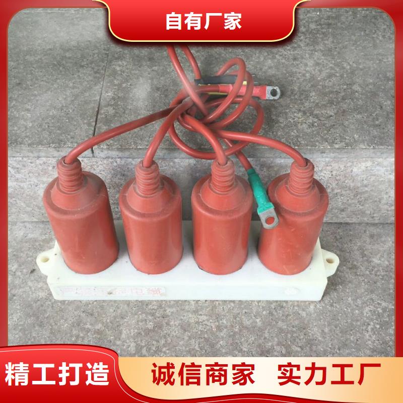 保护器(组合式避雷器)TBP-W-C/6-F组合过电压保护器