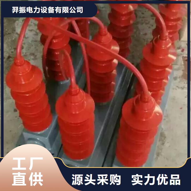 过电压保护器(组合式避雷器)BWKP-B-7.6/131J