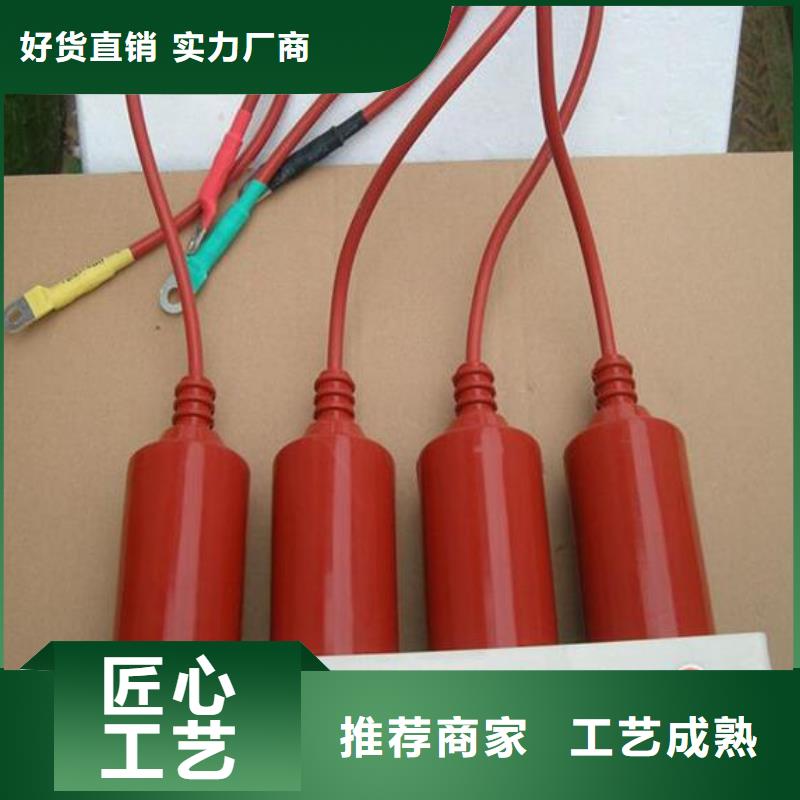 【羿振电气】过电压保护器TBP-A-42F/630W