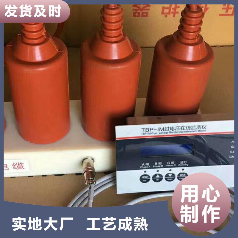 〖过电压保护器〗TBP-A-6.3/280W2值得信赖