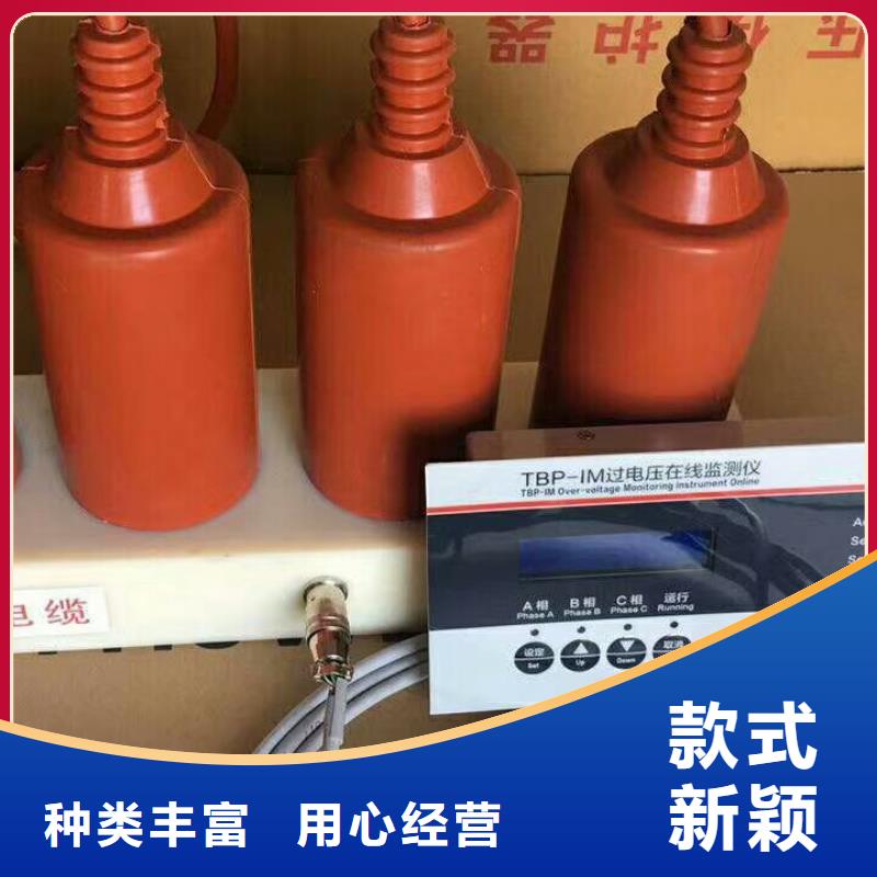 〖过电压保护器〗TBP-A-6.3/280W2值得信赖