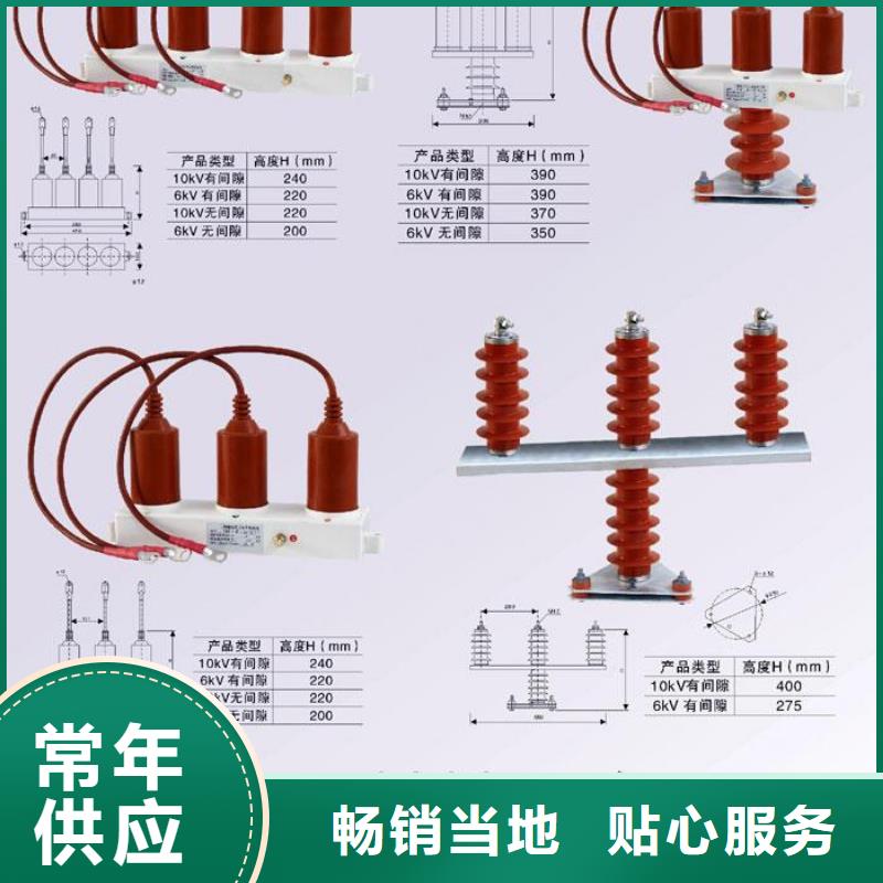 〖过电压保护器〗TBP-B-42F/280-IM发货快