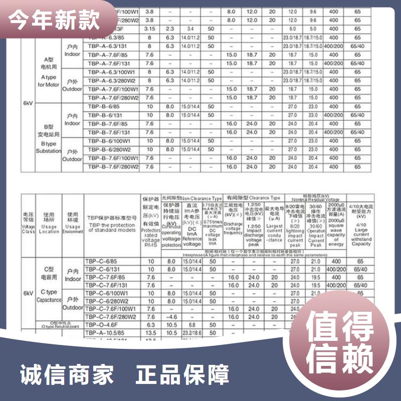 TBP-B-12.7F/131过电压保护器