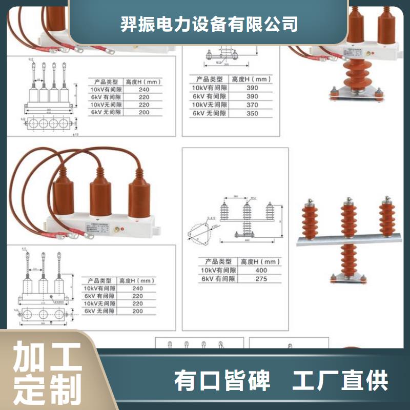 【羿振电气】保护器(组合式避雷器)BSTG-A-280W2