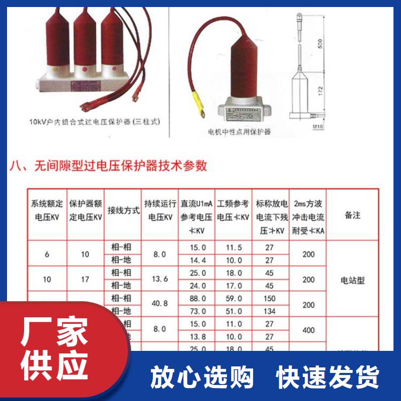 【过电压保护器/组合式避雷器】TBP-B-12.7/38