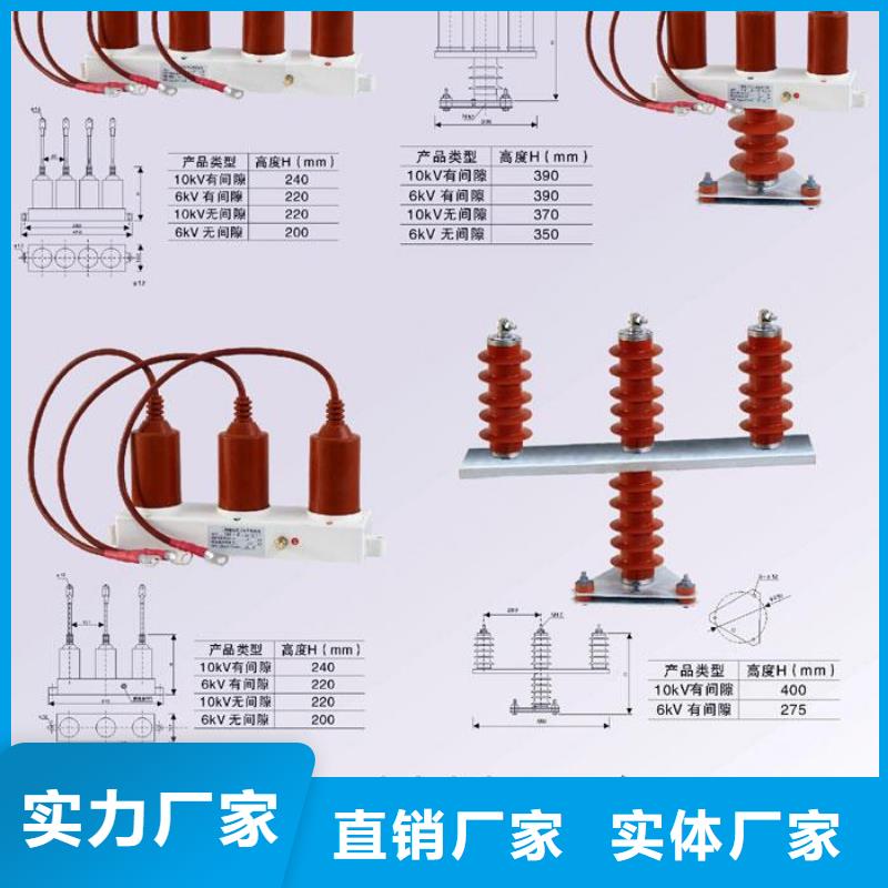 保护器(组合式避雷器)TBP-W-C/6-F组合过电压保护器