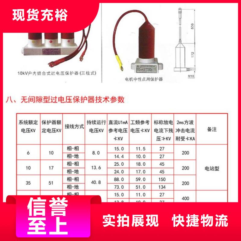 保护器(组合式避雷器)TBP-C-12.7F/280W2