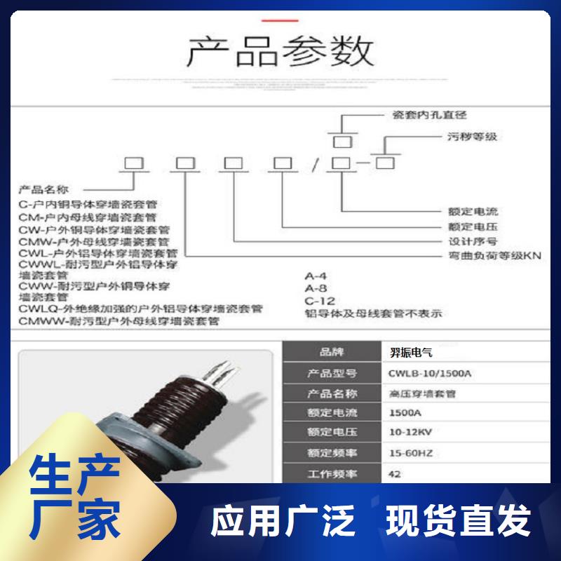 交流穿墙套管,AC10KV,陶瓷,1250A,无CT,铜