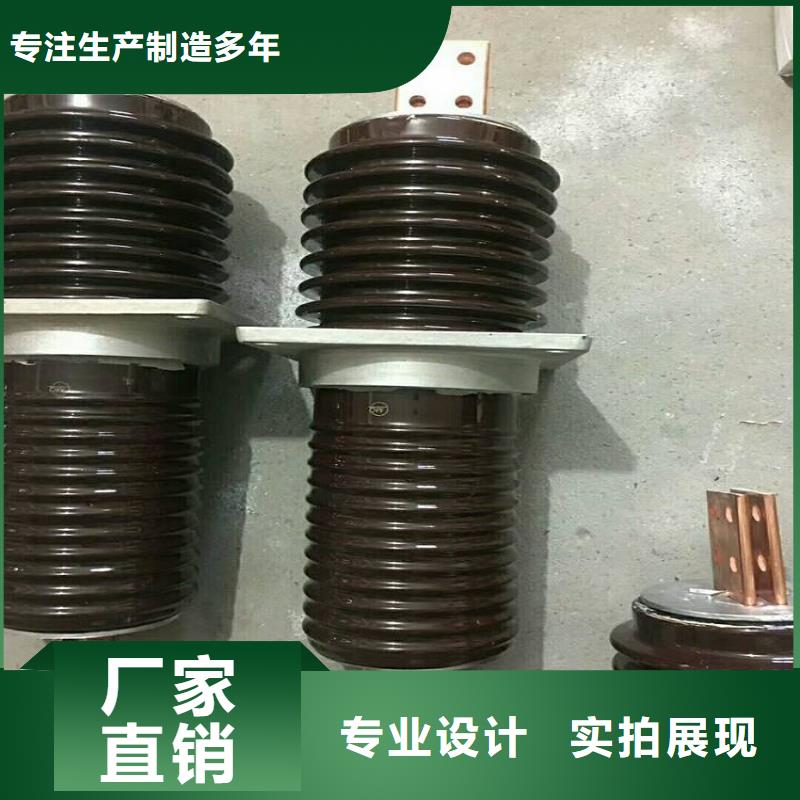 交流穿墙套管,AC10KV,陶瓷,1250A,无CT,铜