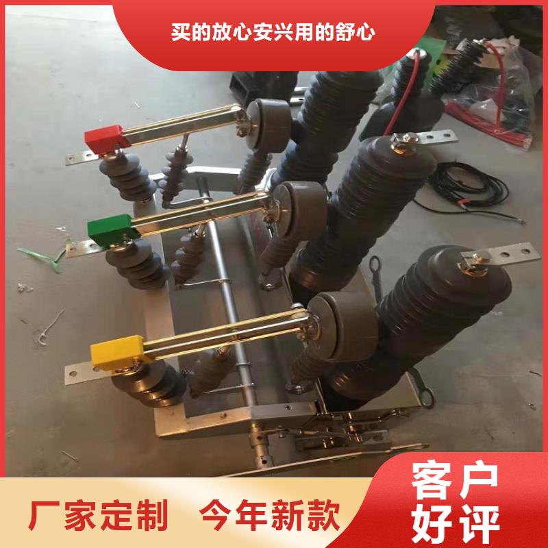 品牌【羿振电力】柱上断路器ZW32-10KV/630A