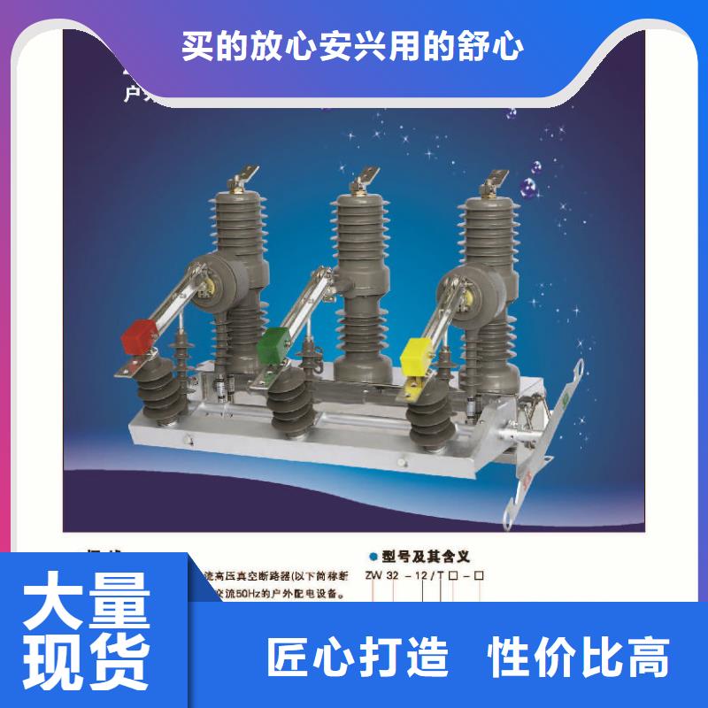 ZW32-12/630A户外高压柱上真空断路器手动智能型看门狗10KV-浙江羿振电气有限公司