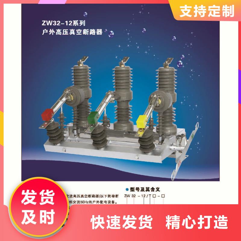 真空断路器-柱上断路器＿AC10kV＿630A＿20kA＿真空＿手动＿弹簧操作机构.