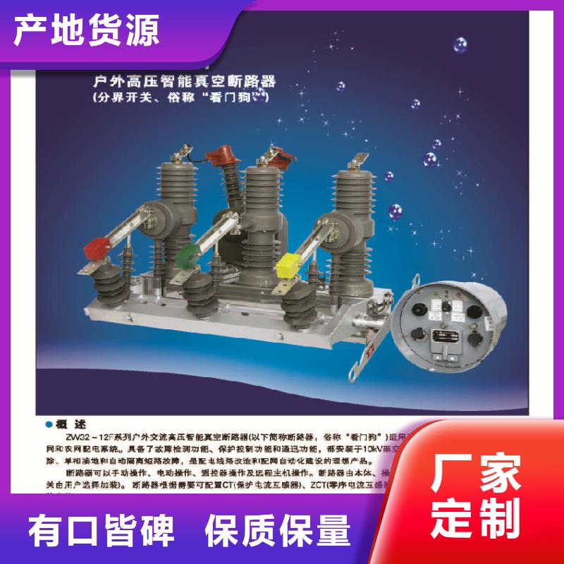 高压断路器ZW32-12-浙江羿振电气有限公司