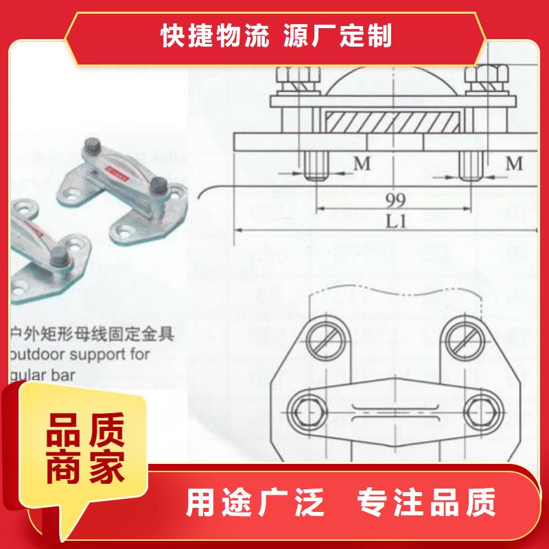 ZSW1-35/1000支柱绝缘子【上海羿振电力设备有限公司】